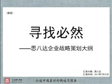 上海思八達企業(yè)發(fā)展戰(zhàn)略策劃項目