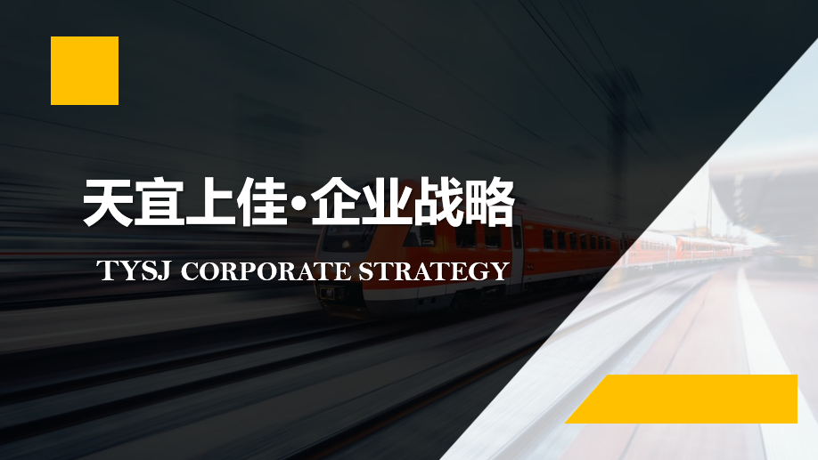 天宜上佳 · 企業戰略策劃案